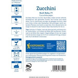 Sachet de graines de courgette Kiepenkerl Bush Baby F1, graines de légumes pour pleine terre, potager surélevé et pot.