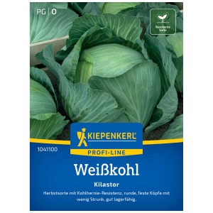 Graines de chou blanc Kiepenkerl Kilastor pour 12 plants, résistant à la hernie du chou.