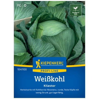 Kiepenkerl Semences de chou Blanc Kilastor 12 plantes