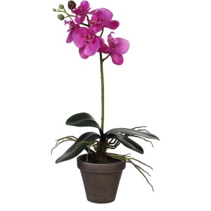 Pianta artificiale Phalaenopsis viola in vaso, alta 48 cm. Orchidea decorativa per interni.