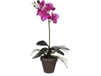 Mica Decorations Kunstpflanze Phalaenopsis Violett Topf Ø 13 cm / Höhe 48 cm
