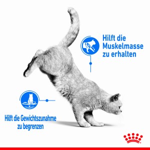 Gatto in movimento, pubblicità per Royal Canin Light Weight Care cibo per gatti.