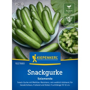 Kiepenkerl concombre Salamanda F1 : concombres apéritifs sur une assiette et coupés dans un bol.