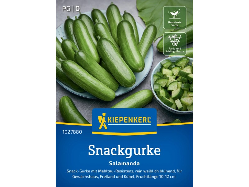 Snackgurke ‚Party Time F1‘ Samen – Ca. 6 Samen, Rein Weiblich & Ertragreich, Resistent Gegen Mehltau