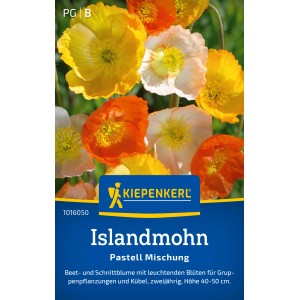 Mix di papavero islandese Kiepenkerl nei colori pastello con fiori gialli, arancioni e bianchi.