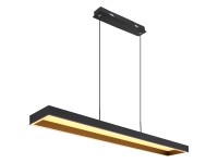 Globo LED-Hängeleuchte Schwarz 70 W / 300 - 5'492 lm