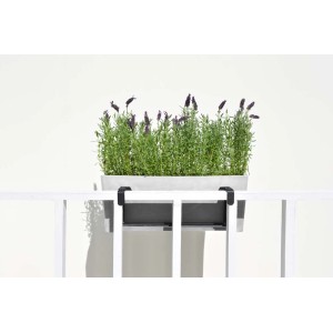 Jardinière balconnière Ecopots Bruges Rail gris-blanc avec lavande sur un garde-corps blanc.
