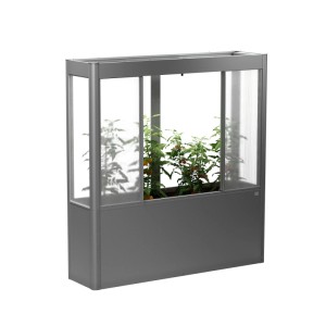 Serre Biohort Florentina Maxi, gris quartz métallisé, avec plantes.