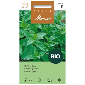Confezione di semi di menta piperita bio: semi per erbe aromatiche.