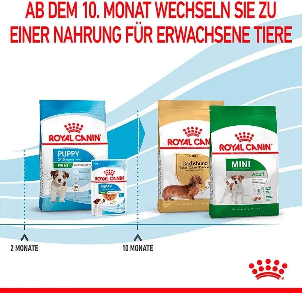 Welpen Trockenfutter Testsieger
