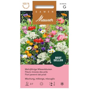 Confezione di semi: Miscela di fiori di prato perenni per giardini naturali.
