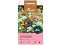 Mehrjährige Wiesenblumen Mischung