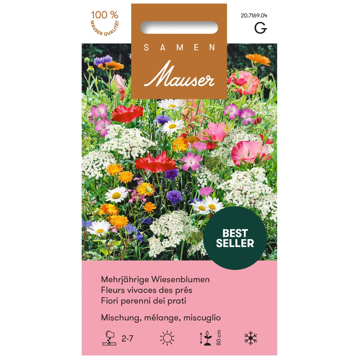 Mehrjhrige Wiesenblumen Mischung