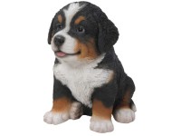 Vivid Arts Berner-Sennenhund-Welpe Polyresin (HxBxT) 16 x 11,3 x 16,5 cm