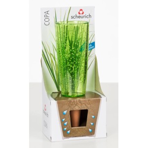 Scheurich Copa M Green, dispositif d'arrosage 150ml, pour plantes d'intérieur et jardin.
