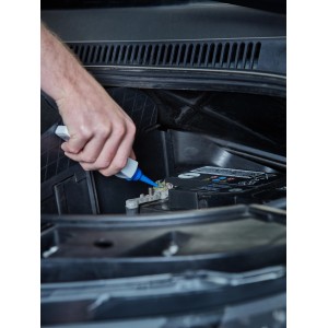 Applicazione di grasso per poli (tubo da 50g) su batteria auto per migliorare la conduttività.