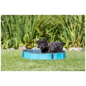 Trixie Hundepool, petrolblau, mit Hund im Garten. Ideal zur Abkühlung an heißen Tagen.
