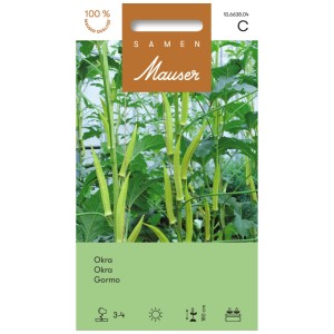 Graines d'okra : L'image montre un plant d'okra avec des gousses vertes dans le jardin.