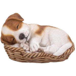 Schlafender rot-weißer Jack Russell Welpe im Korb, Gartendeko von Vivid Arts.