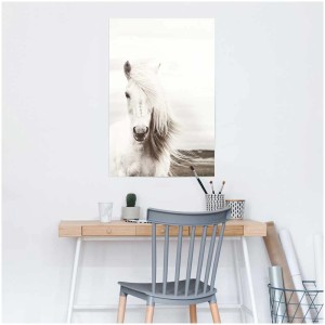 Maxiposter mit einem weißen Pferd (61x91,5 cm) im Querformat.
