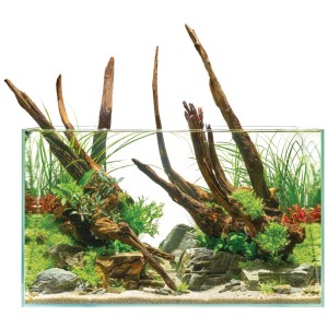 Oase Aquarium Scaperline 60/75 l avec aquascaping, plantes et bois flotté.