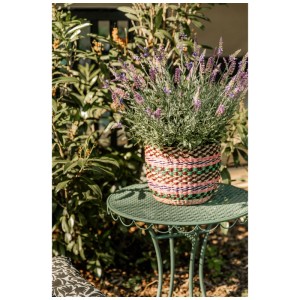 Set Bistro verde Marseille: Tavolo con pianta in vaso, ideale per balcone o giardino.