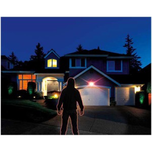 Telecamera finta Panta Solar Security 360 davanti casa, deterrente per i ladri.