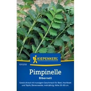 Semi di erbe aromatiche Kiepenkerl Pimpinella con foglie verdi.
