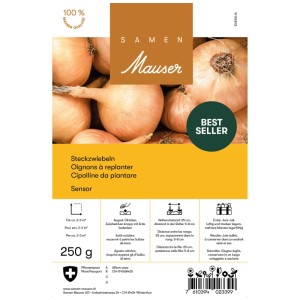 Samen Mauser cipolline da piantare Sensor, cipolle rotonde in sacchetto da 250g, varietà invernale.