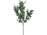 Mica Decorations Kunstfloristik Eukalyptus-Zweig Grün Höhe 65 cm