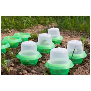 Andermatt Biogarten SchneckenStopp cloches de protection (6 pcs) dans le parterre. Protège les jeunes plants des limaces.