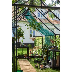 Serre Halls Qube+ 812, 9,9 m², noire, avec plantes et accessoires de jardinage à l'intérieur.