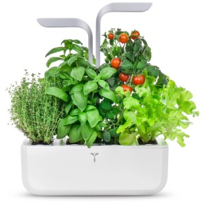 Véritable Smart Indoor Garden en blanc arctique avec basilic, thym, tomates et laitue.