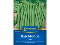 Kiepenkerl Buschbohne Saxa