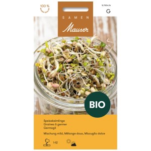 Miscela di semi germogliabili delicata in vetro: erba medica, lenticchie, fagioli mung e ravanello per germogli.