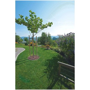 Jardin avec bordure de pelouse en acier autour d'un arbre, indéformable et à peine visible.