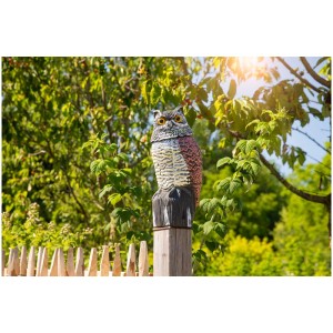 Windhager Vogelabwehr Eule auf Holzpfosten vor Garten. Taubenschreck zur Vogelabwehr.