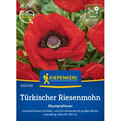 Kiepenkerl Türkischer Riesemohn Olympiafeuer Papaver