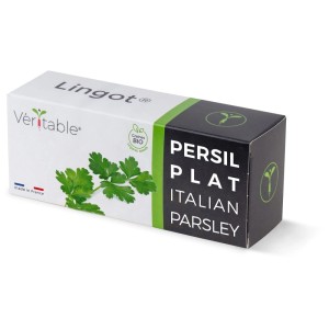 Véritable Lingot Prezzemolo Bio: Confezione di semi di erbe biologiche per giardini interni.