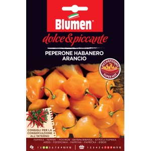 Graines de piment Habanero Arancio : Piment orange fort pour plates-bandes et pots.