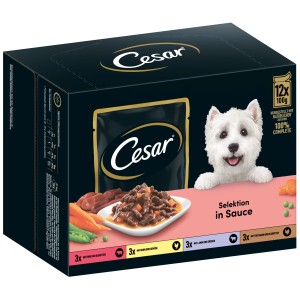 Cesar Multipack Adult Selezione in Salsa, cibo umido per cani, 48 x 100g.