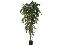 Mica Decorations Kunstpflanze Ficus Grün Topf Ø 85 cm / Höhe 200 cm