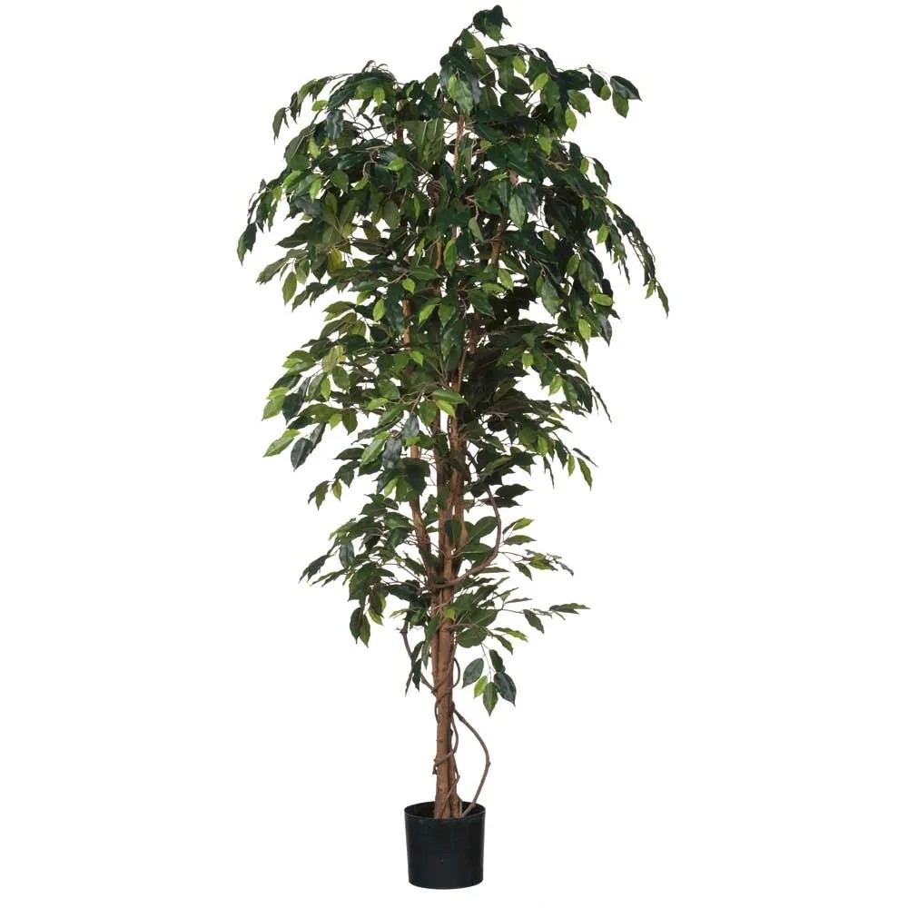 Mica Decorations Kunstpflanze Ficus Grn Topf  85 cm / Hhe 200 cm