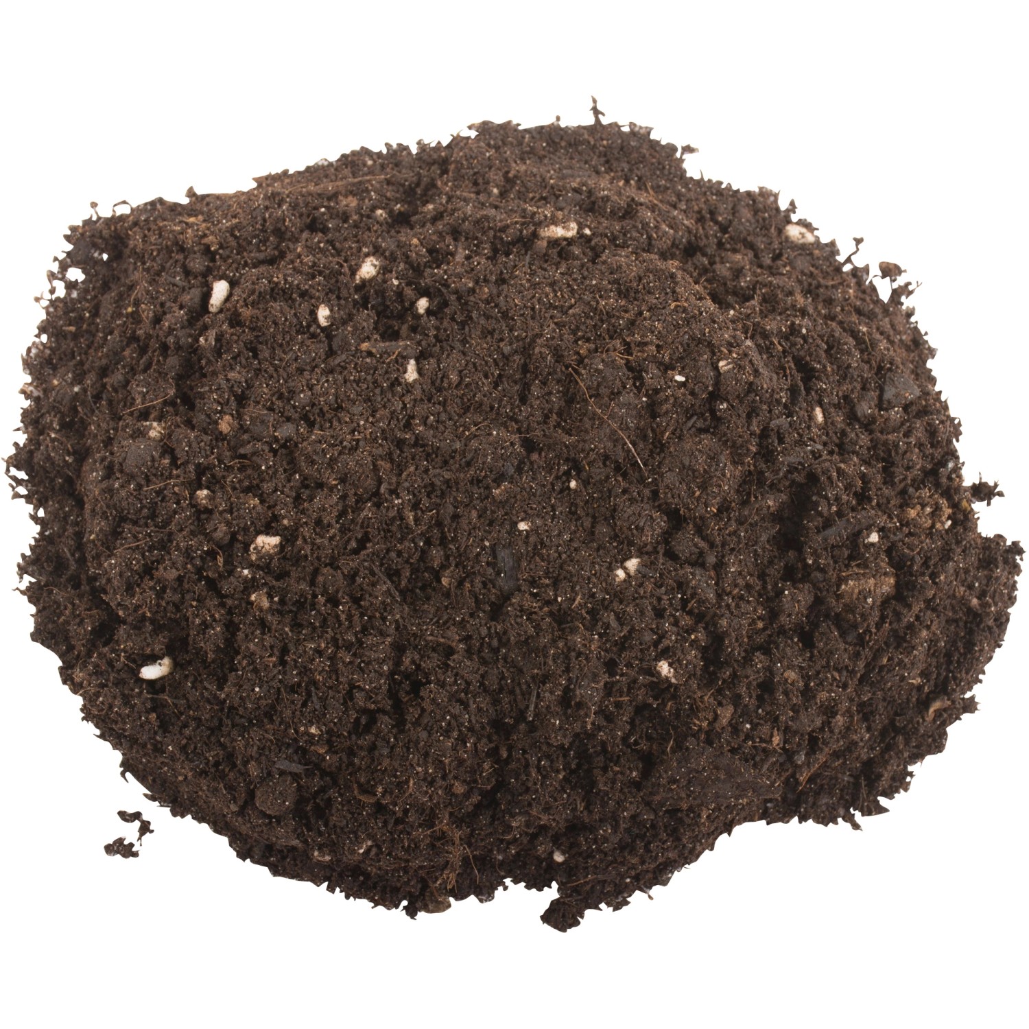 Compo Sana QualitätsBlumenerde 20 l kaufen bei OBI