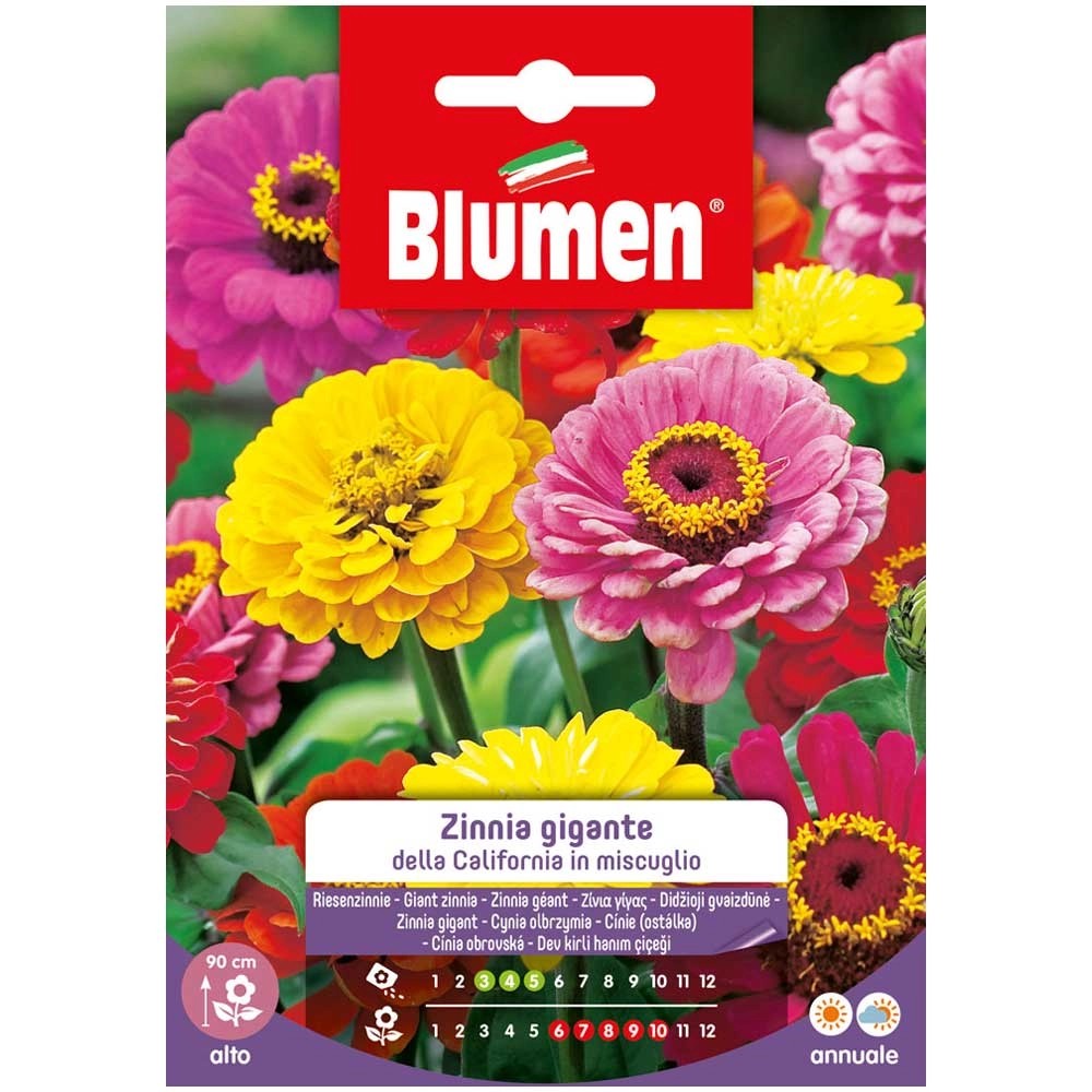 Blumen Mix Riesenzinnie Zinnia elegans California kaufen bei OBI