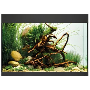 Aquarium noir Oase Styleline 125 avec plantes et décoration, 115 litres.