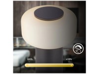 Briloner LED-Tischleuchte Juna dimmbar Matt Anthrazit 210 lm / Ø 13 x 20,5 cm