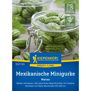 Mini-concombre mexicain Kiepenkerl Mateo dans un bocal en verre : mini-concombres rayés verts comme graines potagères pour le jardin.