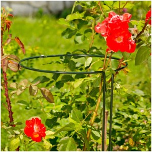 Tutore per piante Windhager flessibile, 30x100cm, 2 pezzi, supporto per piante da giardino.