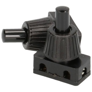 Deux interrupteurs à bouton-poussoir noirs avec écrou isolant pour installation de lampe.